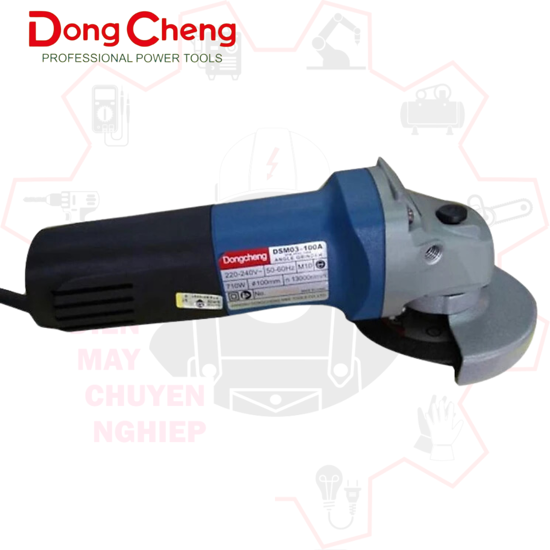 DSM 03-100A (5)