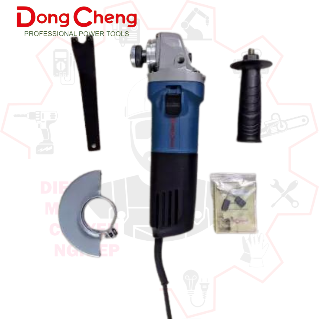 DSM 06-100 (1)