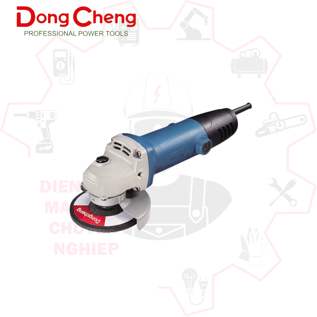DSM 06-100 (2)