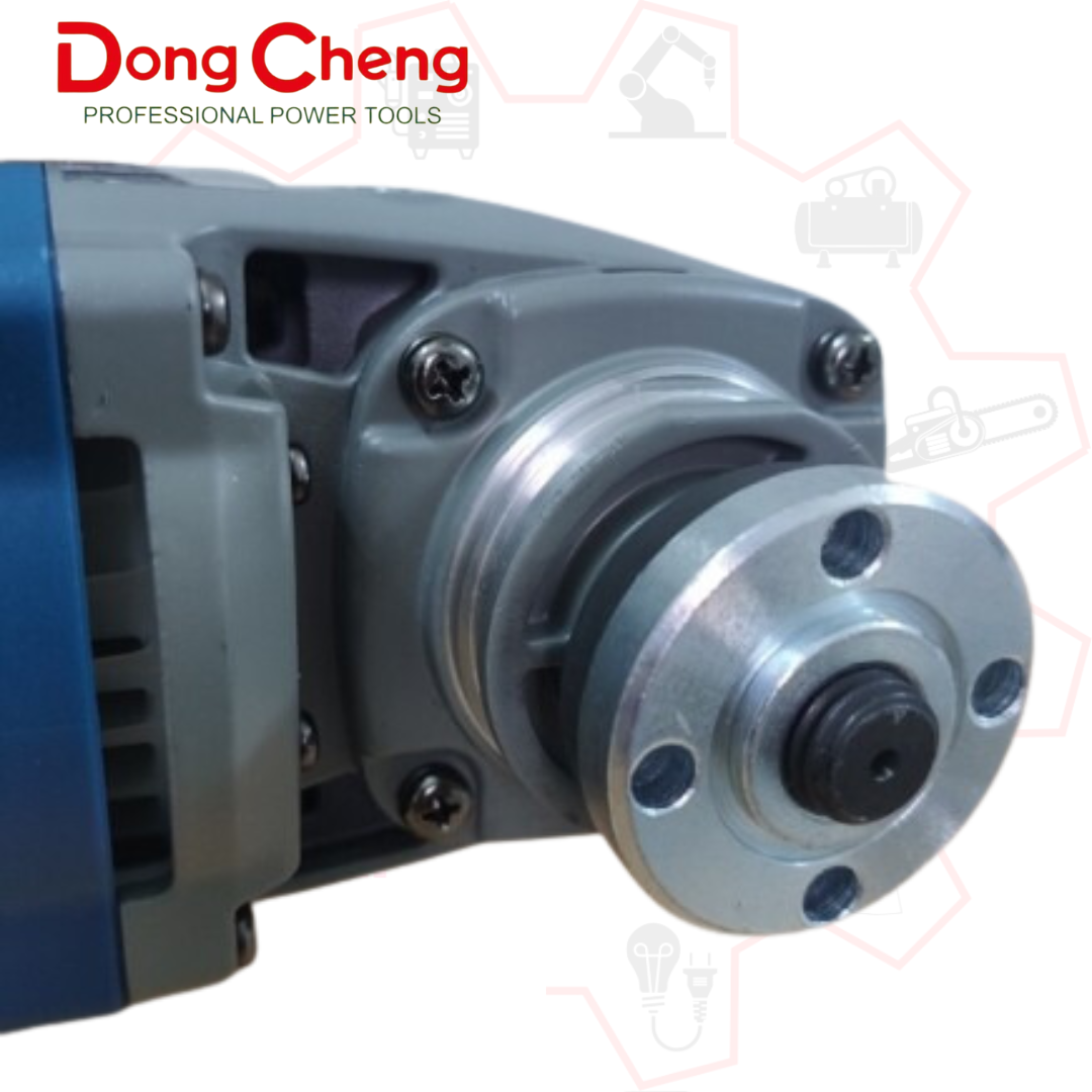 DSM 06-100 (3)